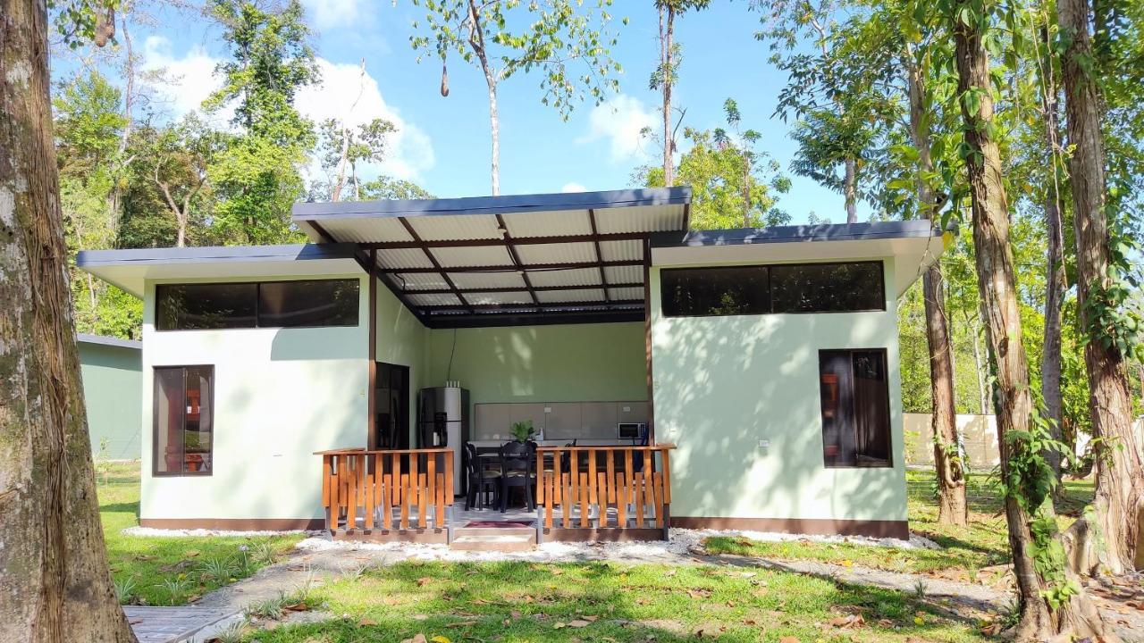 Casa Black Chaini *